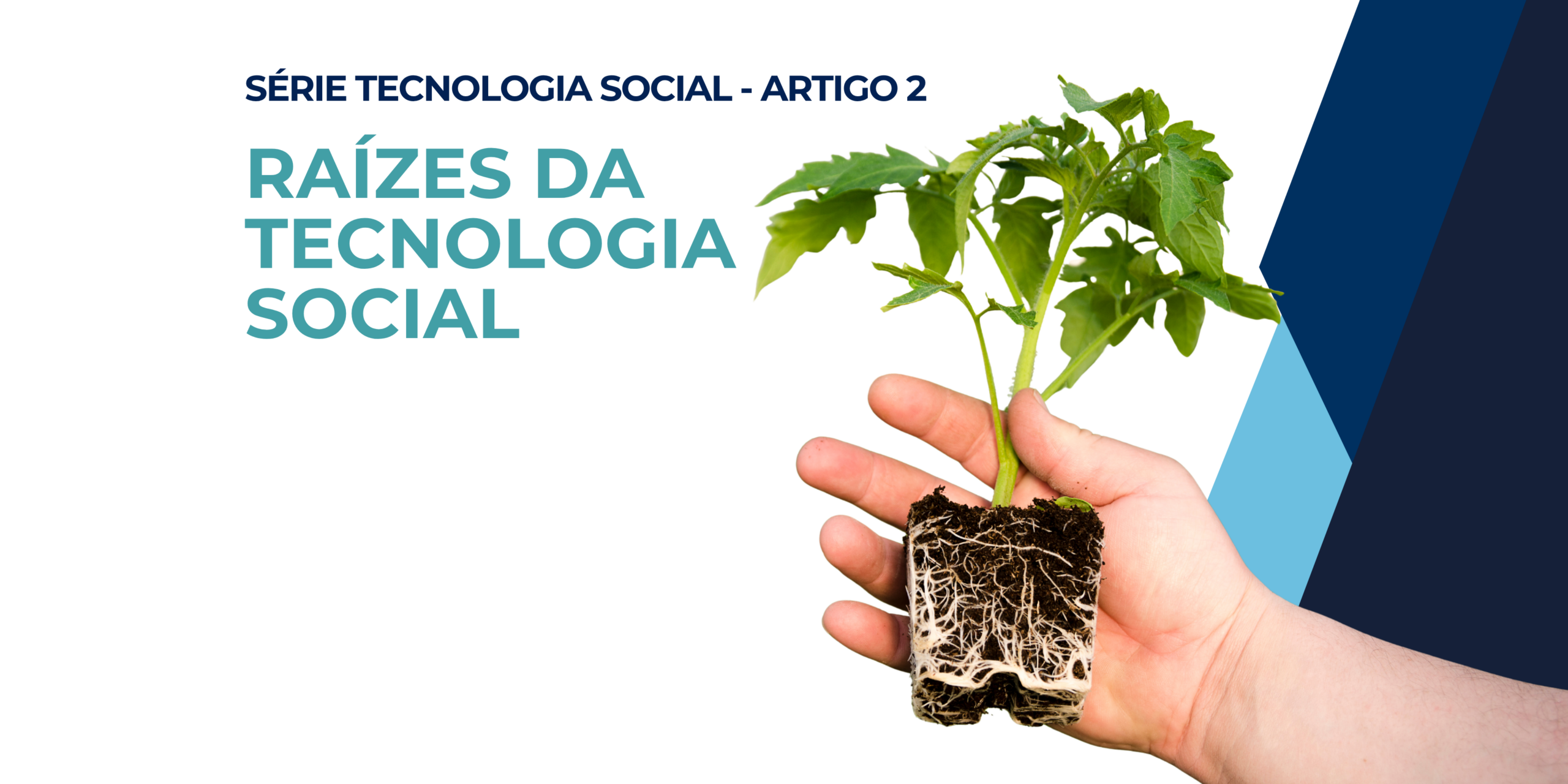 Raízes da Tecnologia Social